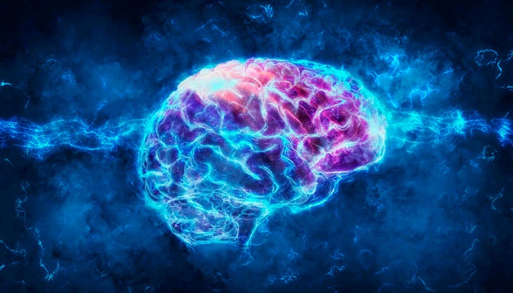 Мозг — это главный орган концентрации и памяти